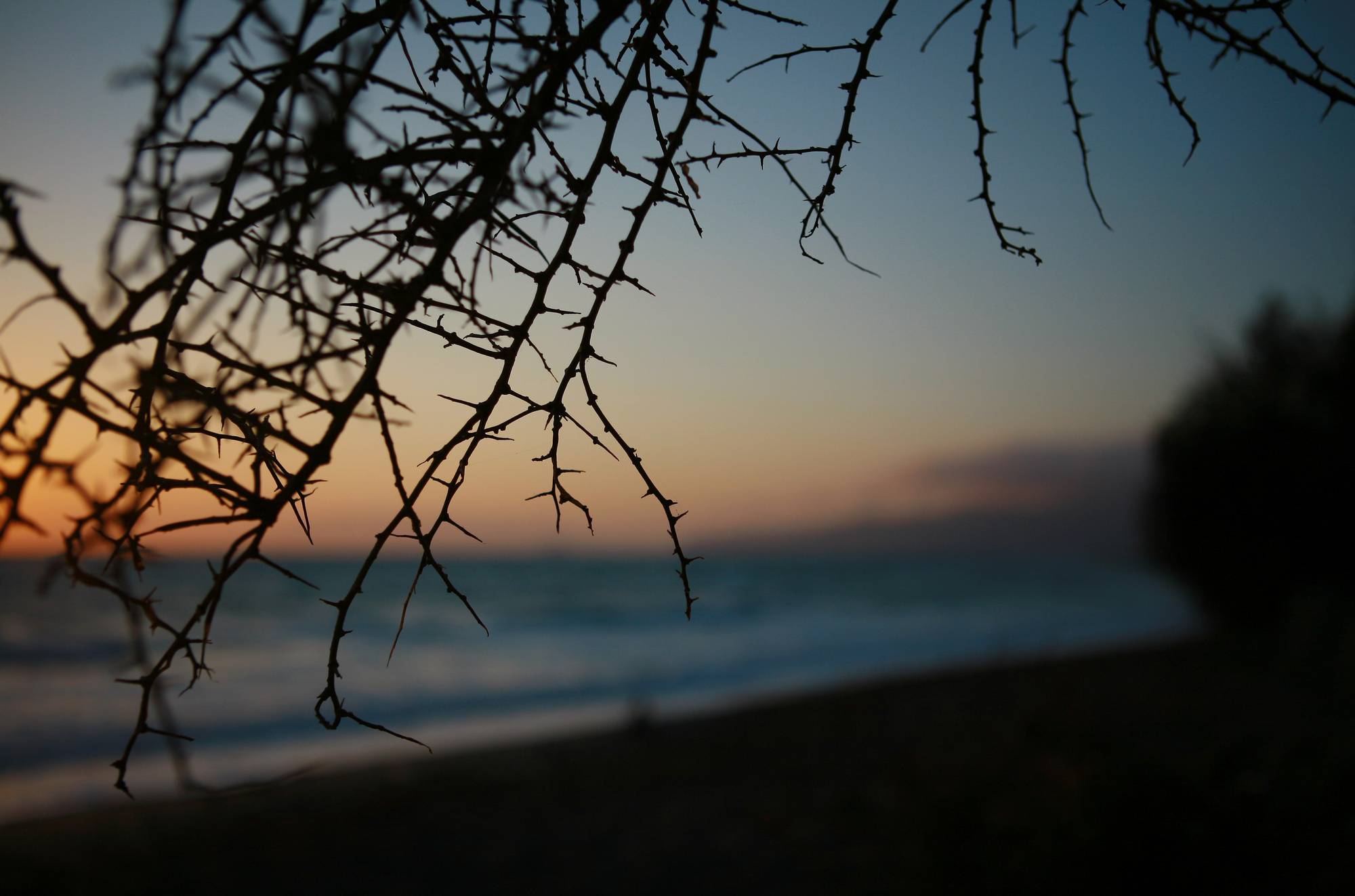 Family Naturists - Greek Calm Beach Sunset - 3