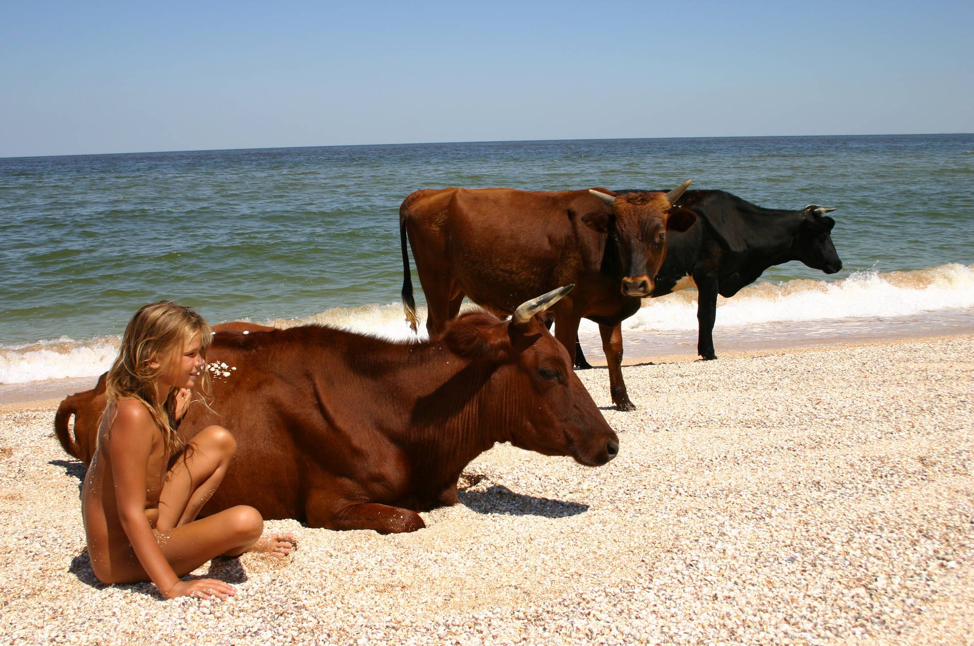 Animal Meets the Beach - 1